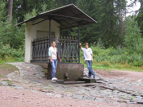 Родник в парке Монрепо