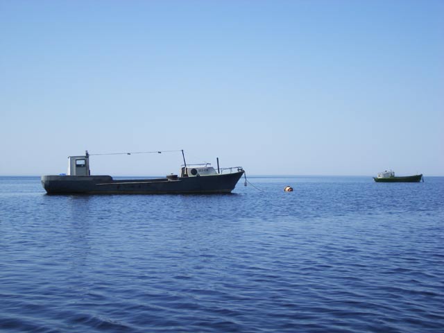 Рыбацкие баркасы в Сторожно