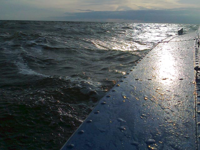 Качка приличная