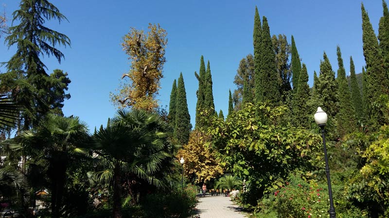 Нижний Приморский парк Нового Афона, заложен монахами более 100 назад