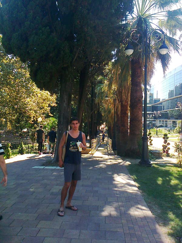 Сочи. Пальмово-кипорисовая аллея к морскому порту