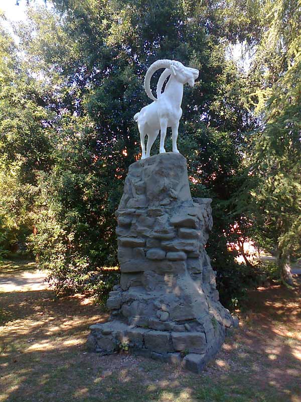 В парке «Ривьера» в Сочи