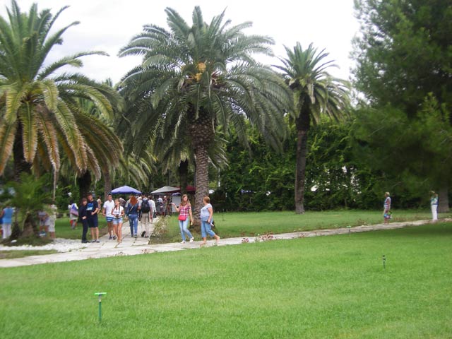 Пальмовый парк, гостиничный комплекс «Пицунда»