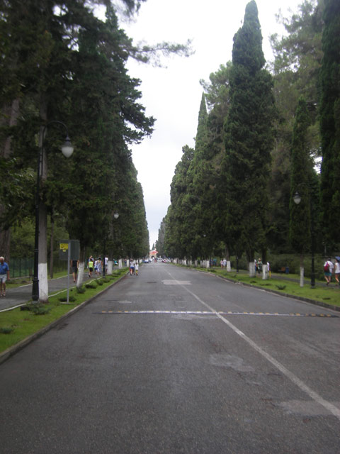 Кипарисовая аллея, вид от гостиничного комплекса «Пицунда» к Патриаршему Собору