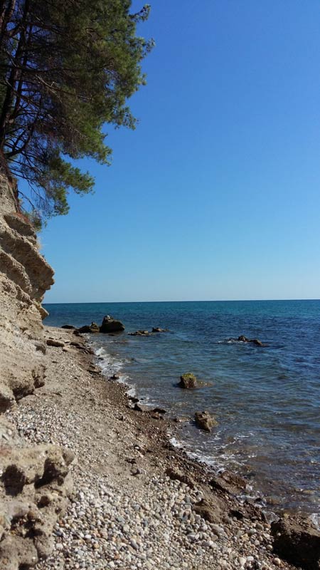 Череда мысов между Пицундой и Мюссерой отделяют цепочку бухт с дикими пляжами