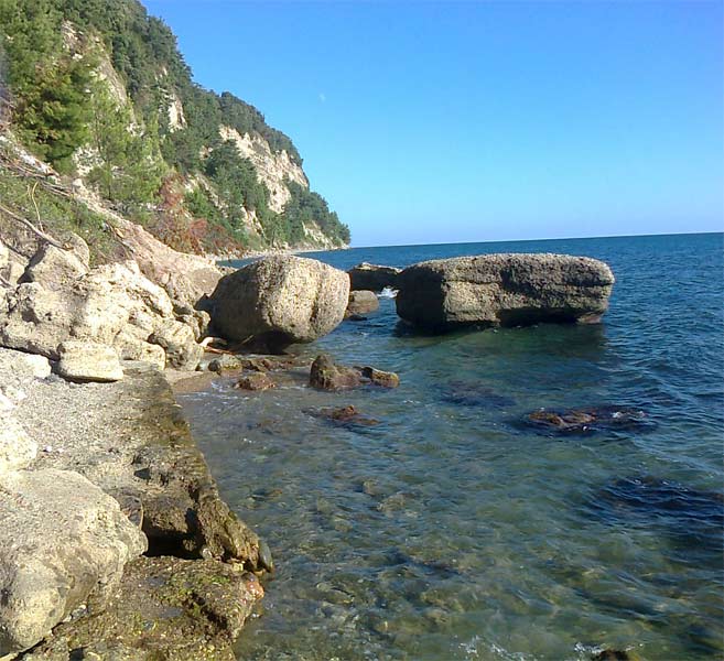 Идеальное место для подводной рыбной охоты, встречаются и крабы